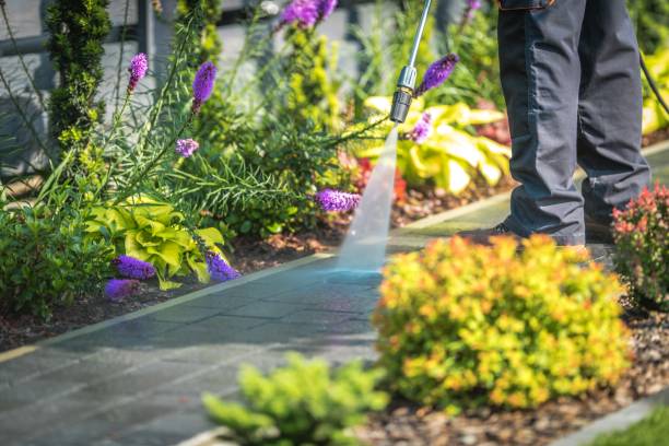 Best Winterizing Services  in Bray, OK